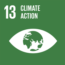 Climate action - Goal 13